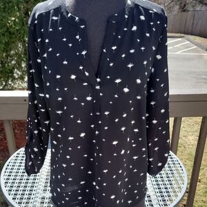 DANIELRAINN Black And White V Neck Blouse